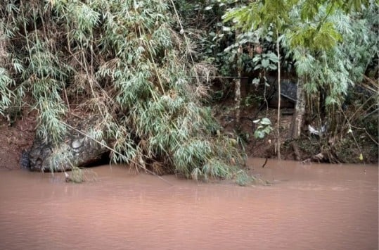 Dòng sông yên ả bỗng dậy sóng vì 'rắn khổng lồ', người dân bàn tán khiến phóng viên đến tận nơi xác minh- Ảnh 3.