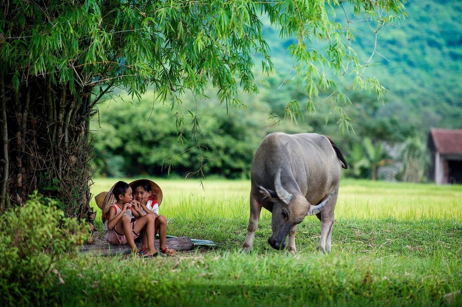 16-1760577800-dieu-bat-ngo-khi-soi-ho-chieu-viet-nam-duoi-tia-uv.jpg