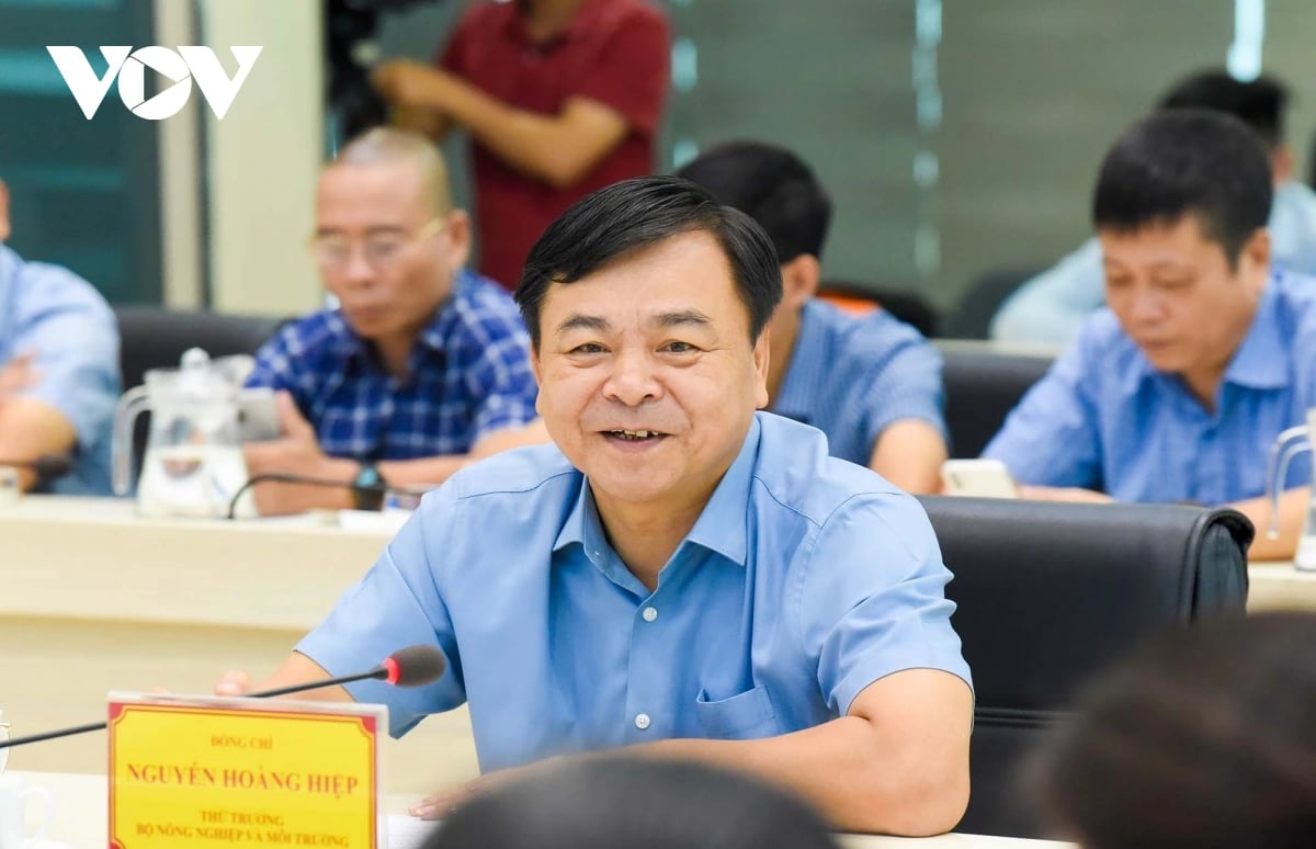 vi sao mien bac thiet hai nang trong mua lu vuot lich su hinh anh 1