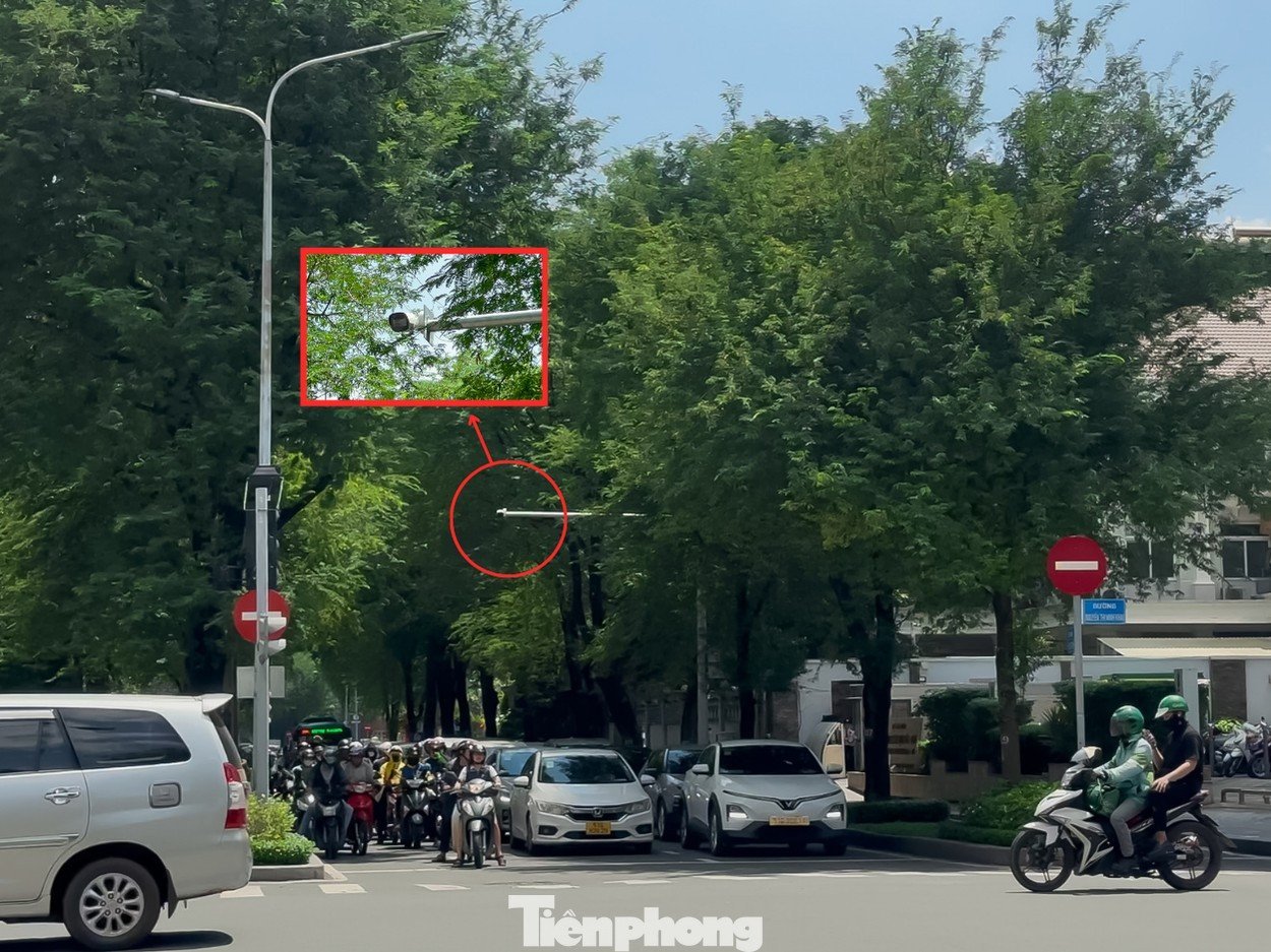 tp-camera-ai1.png