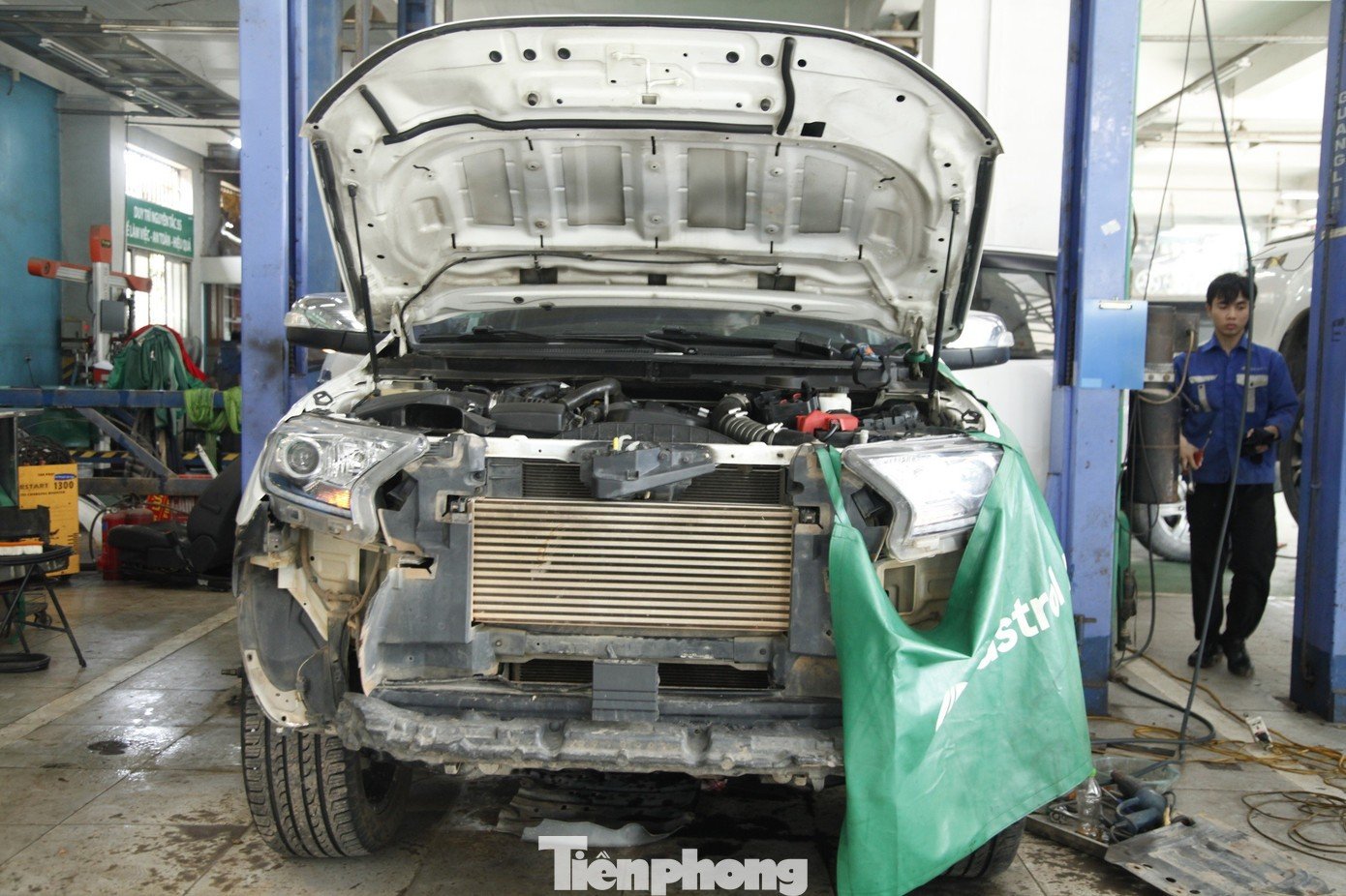 tp-o6.jpg