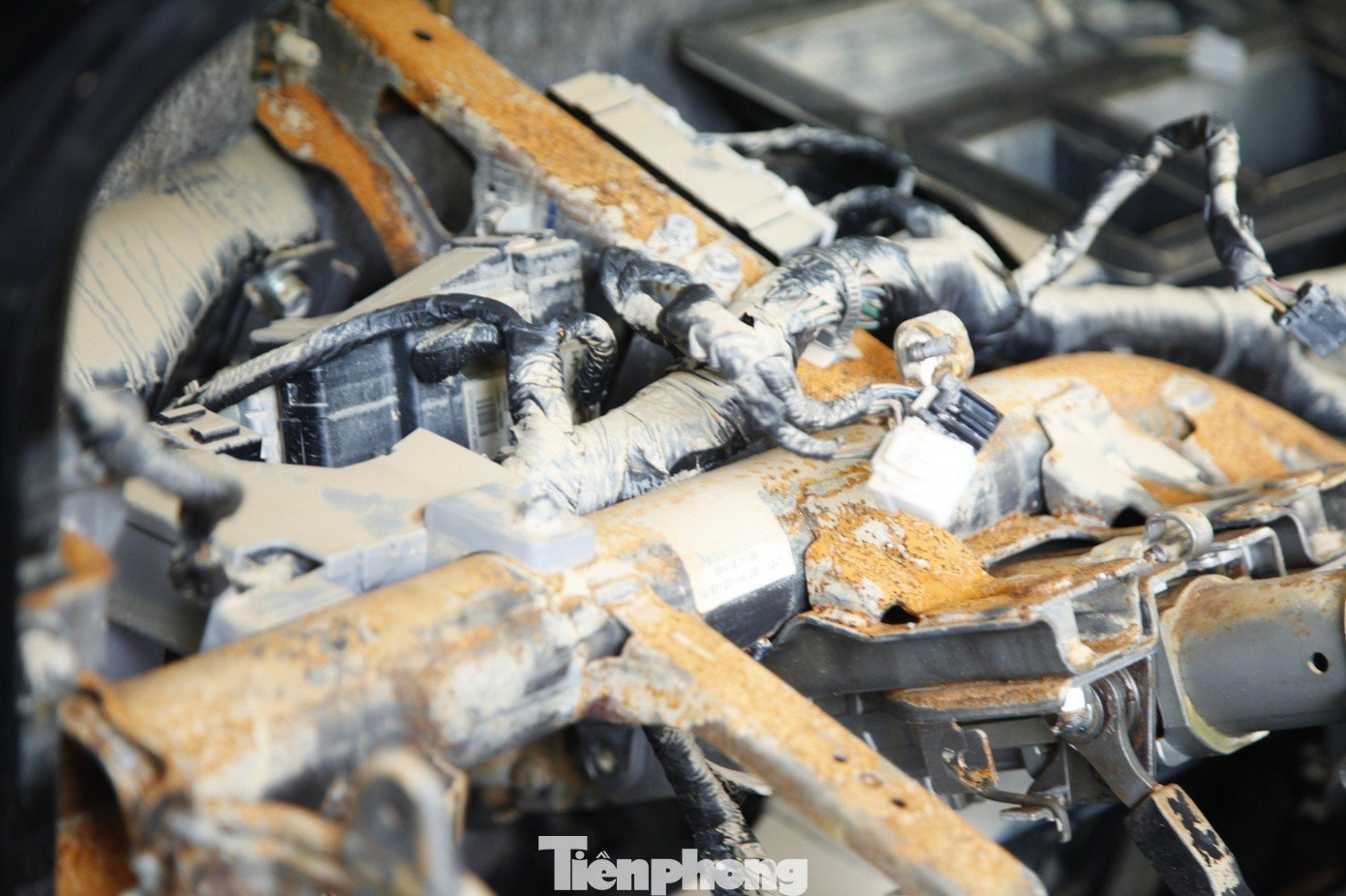 tp-017.jpg