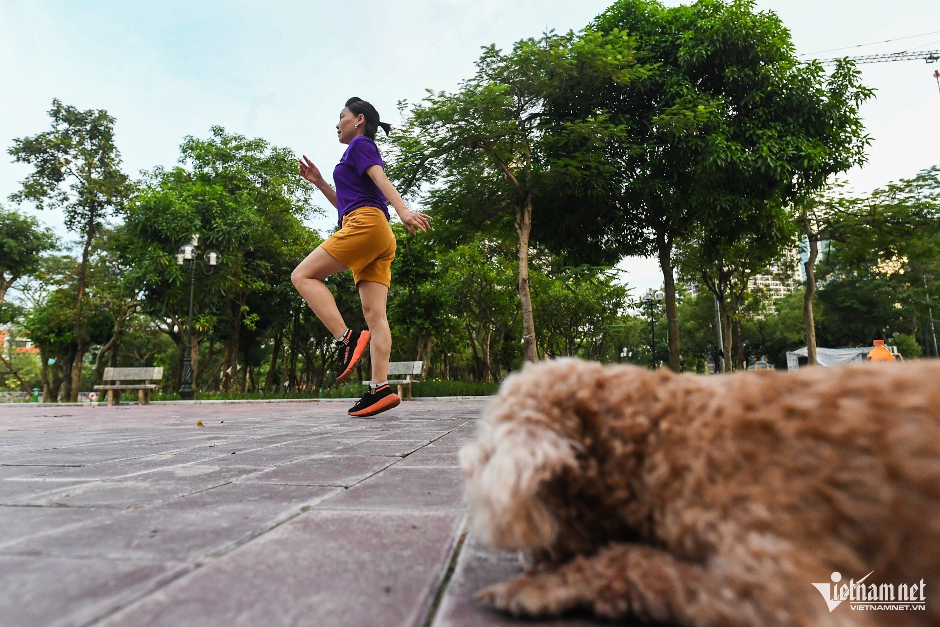 W-cong vien cau giay 22.jpg