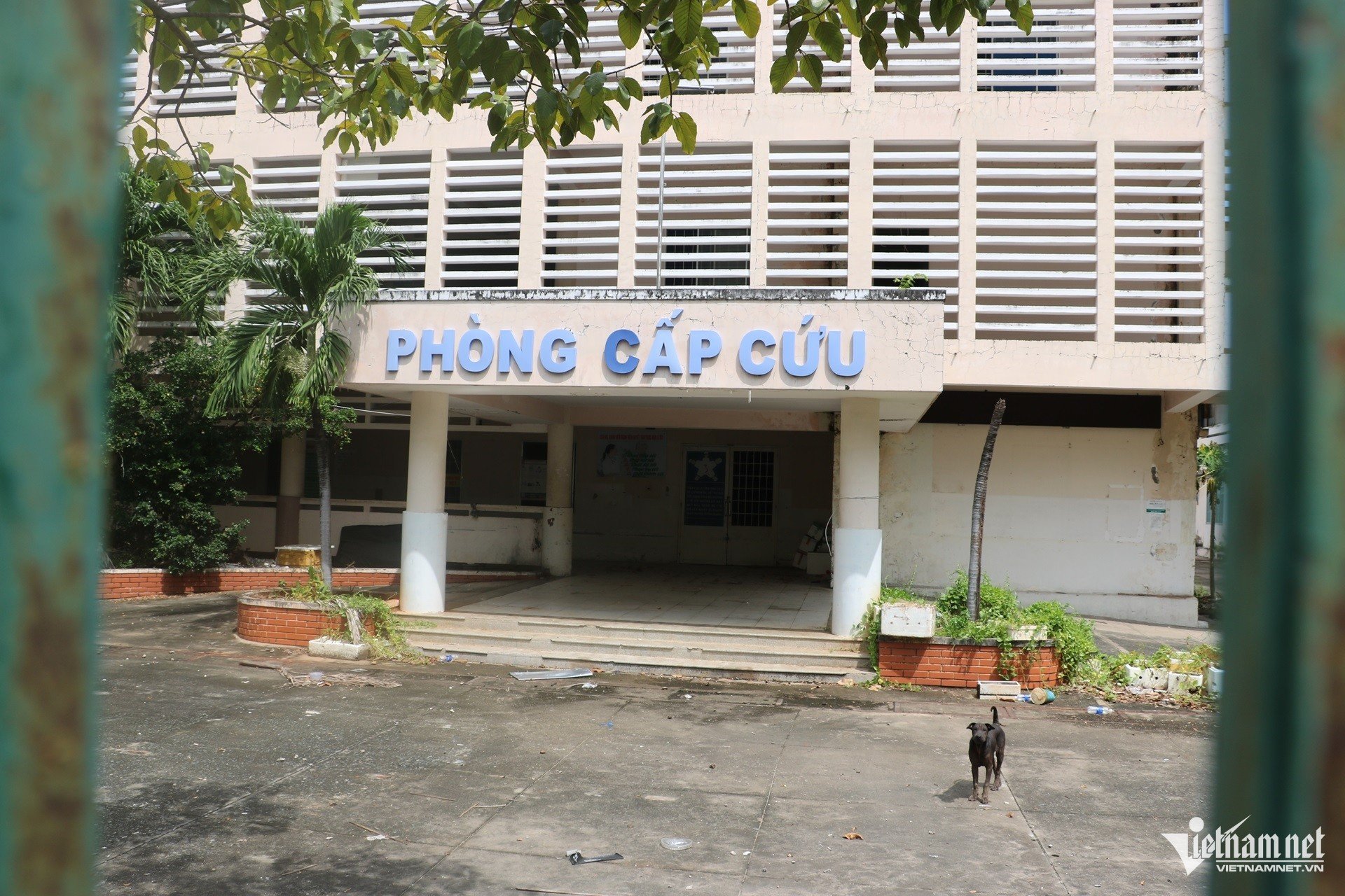 W-Hiện trạng 2 bệnh viện cũ ở bà rịa vũng tàu được đề xuất làm cơ sở 2 chuyên khoa Ung bướu, Sản 7.JPG.jpg