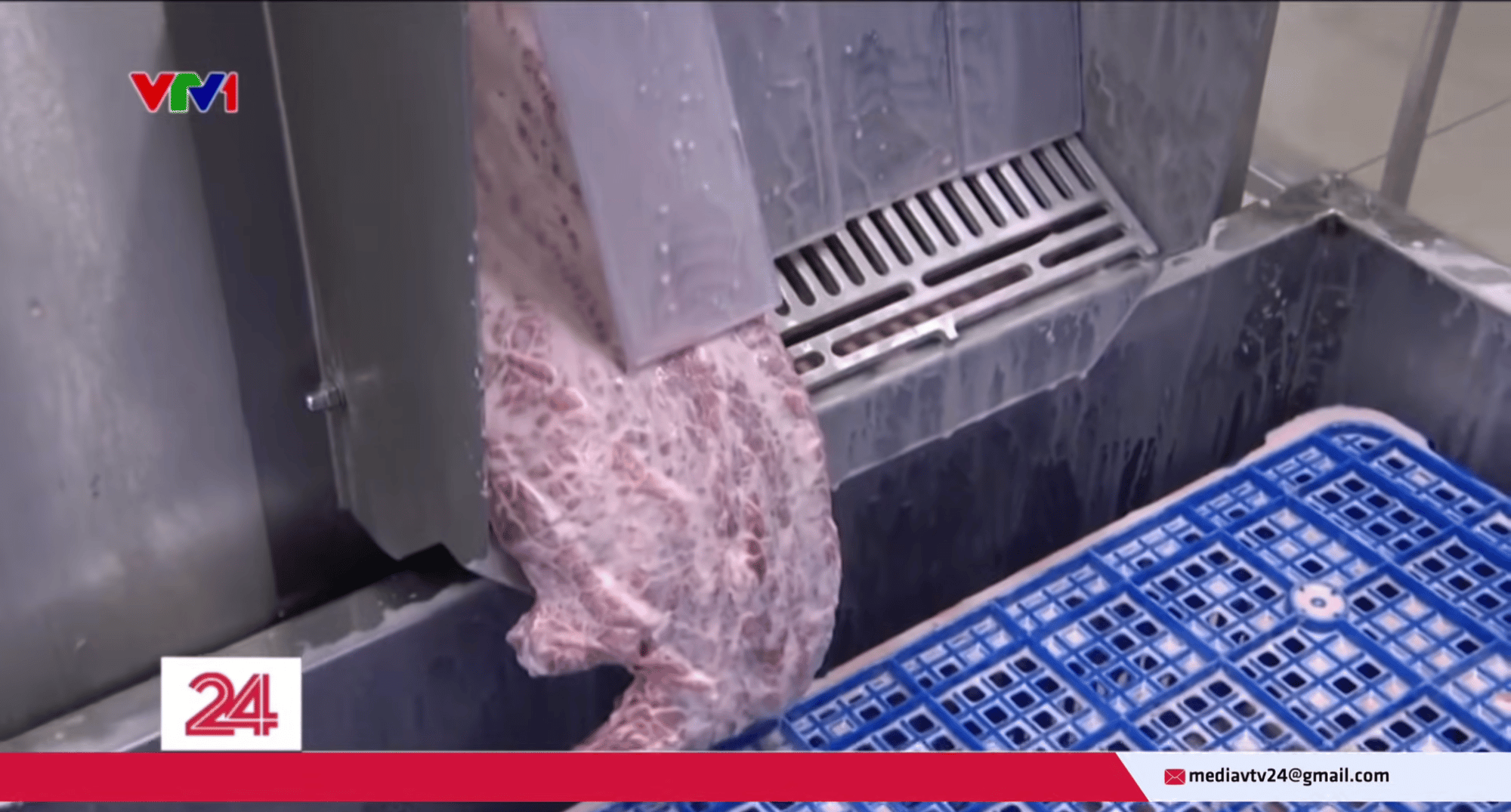 Cận cảnh quá trình bơm tinh chất “hô biến” thịt trâu đã giết mổ cả năm thành bò Wagyu thượng hạng- Ảnh 3.