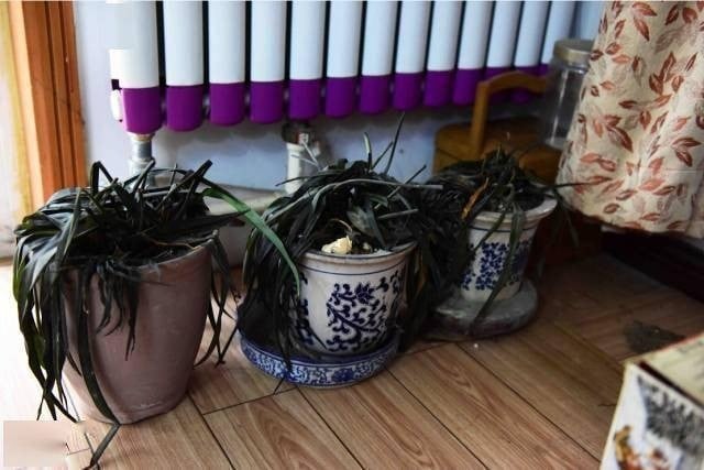 5 dấu hiệu trong nhà cho thấy: Âm khí nặng nề, vận xui đeo bám không buông- Ảnh 3.