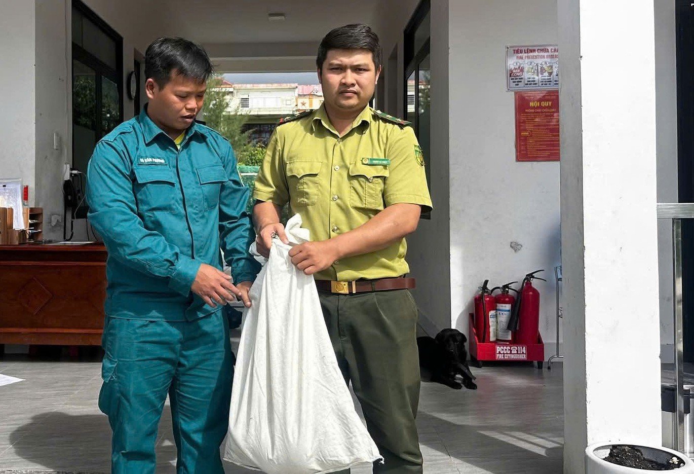 Trăn đất dài 3 m lạc vào khu dân cư ở TP Đà Nẵng- Ảnh 2.