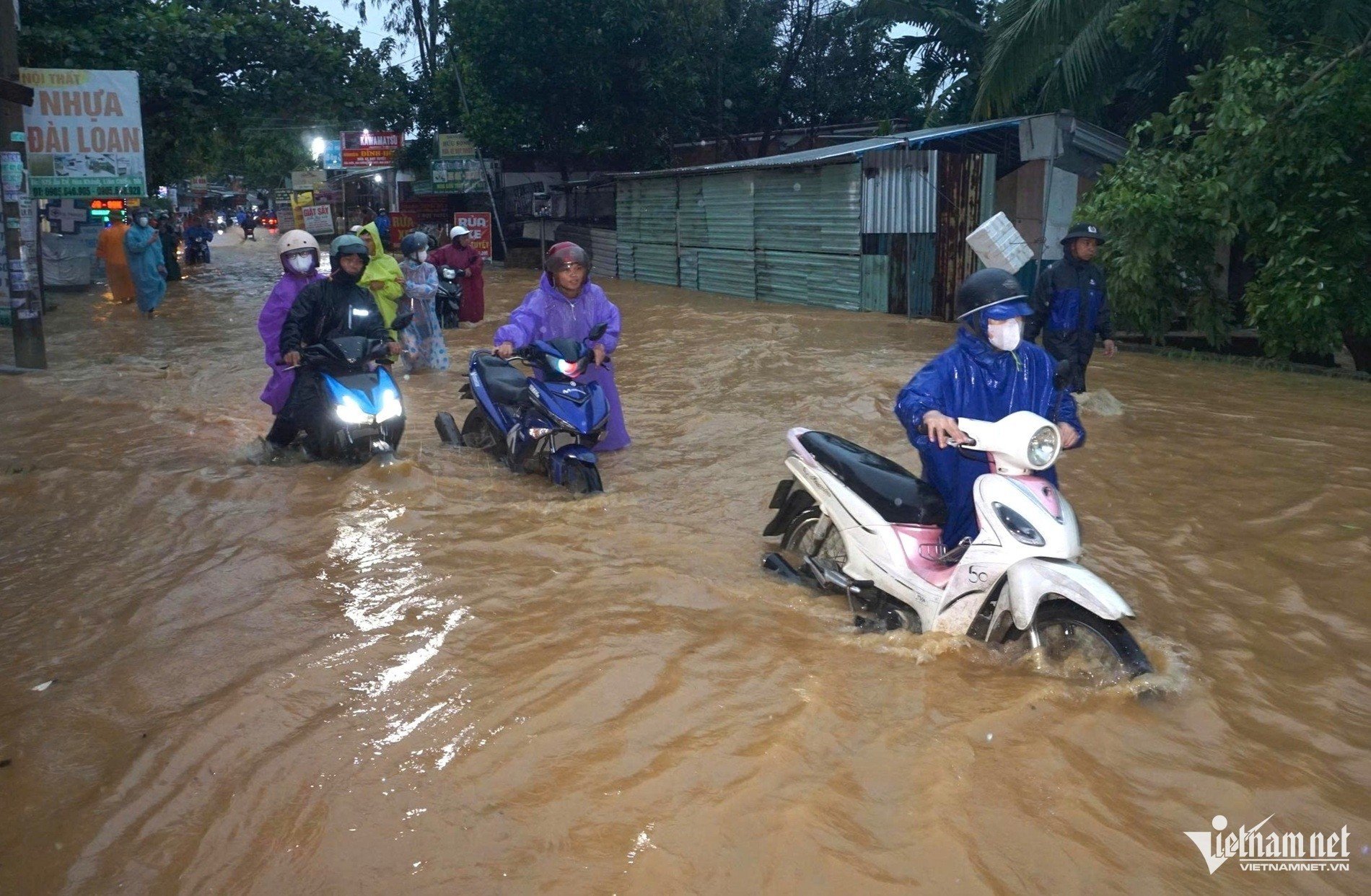 ngap da nang 310.jpg