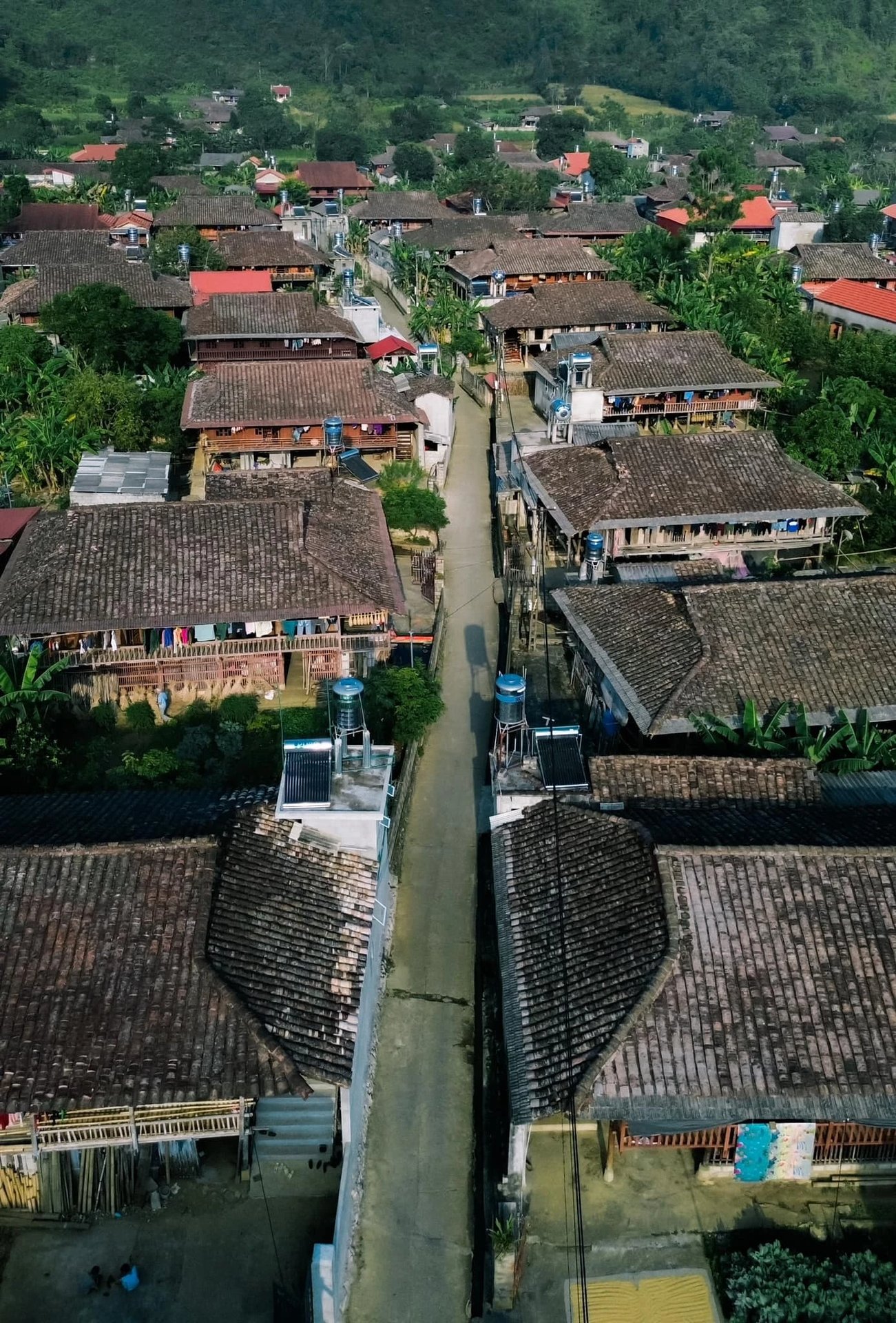 Lo Lo Chai anh 8