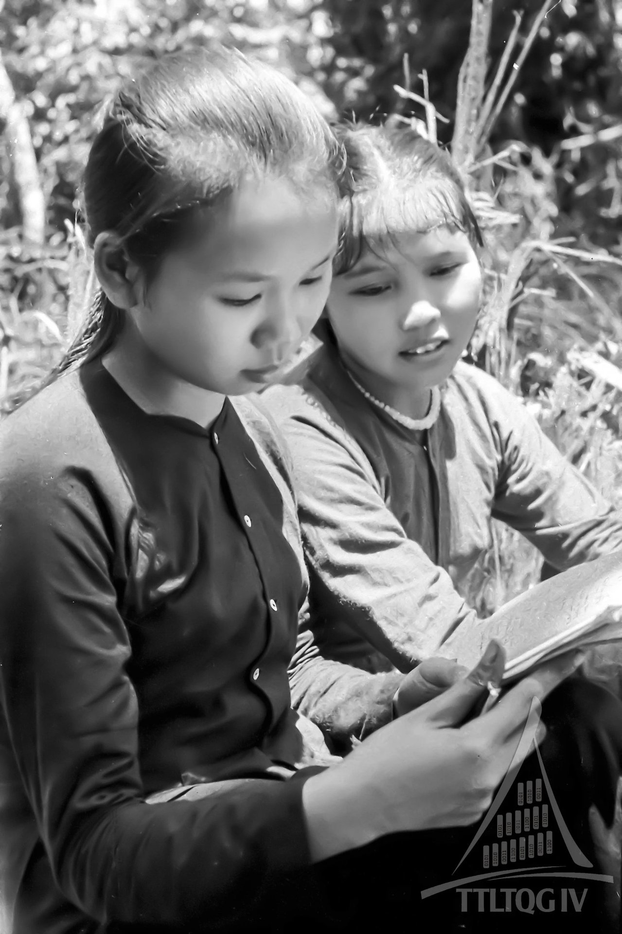 20-1760931535-net-dep-cua-nhung-bong-hoa-noi-dau-sung.jpg
