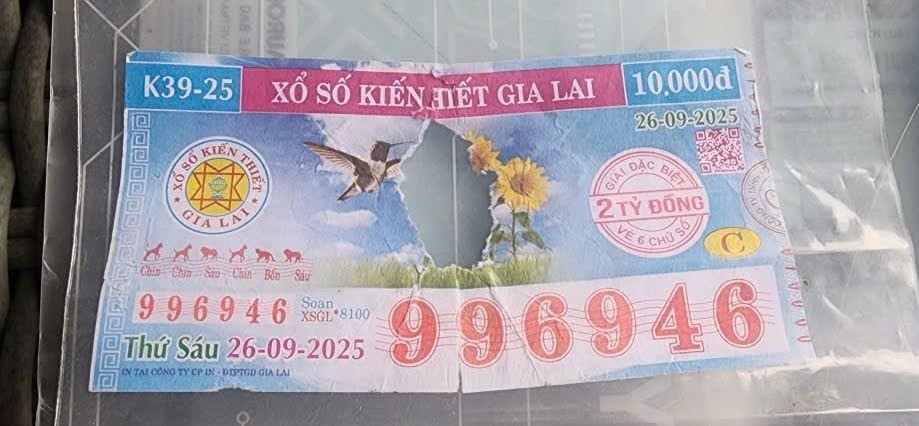  - Ảnh 1.
