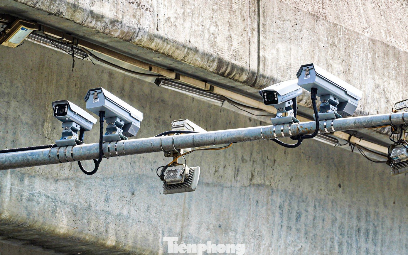 tp-s-24.jpg