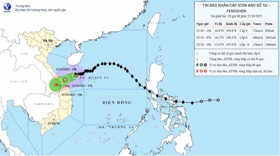 bao so 12 toi.jpg