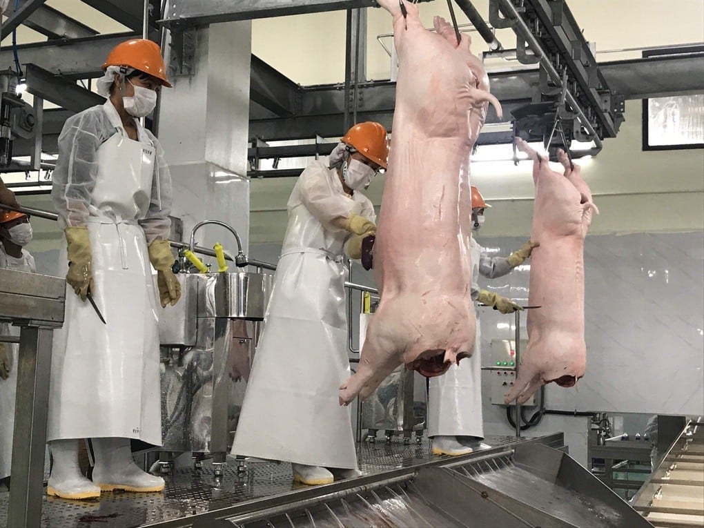 Heo rớt giá, dịch bệnh bủa vây: Người nuôi “ngán” tái đàn dịp Tết - 2