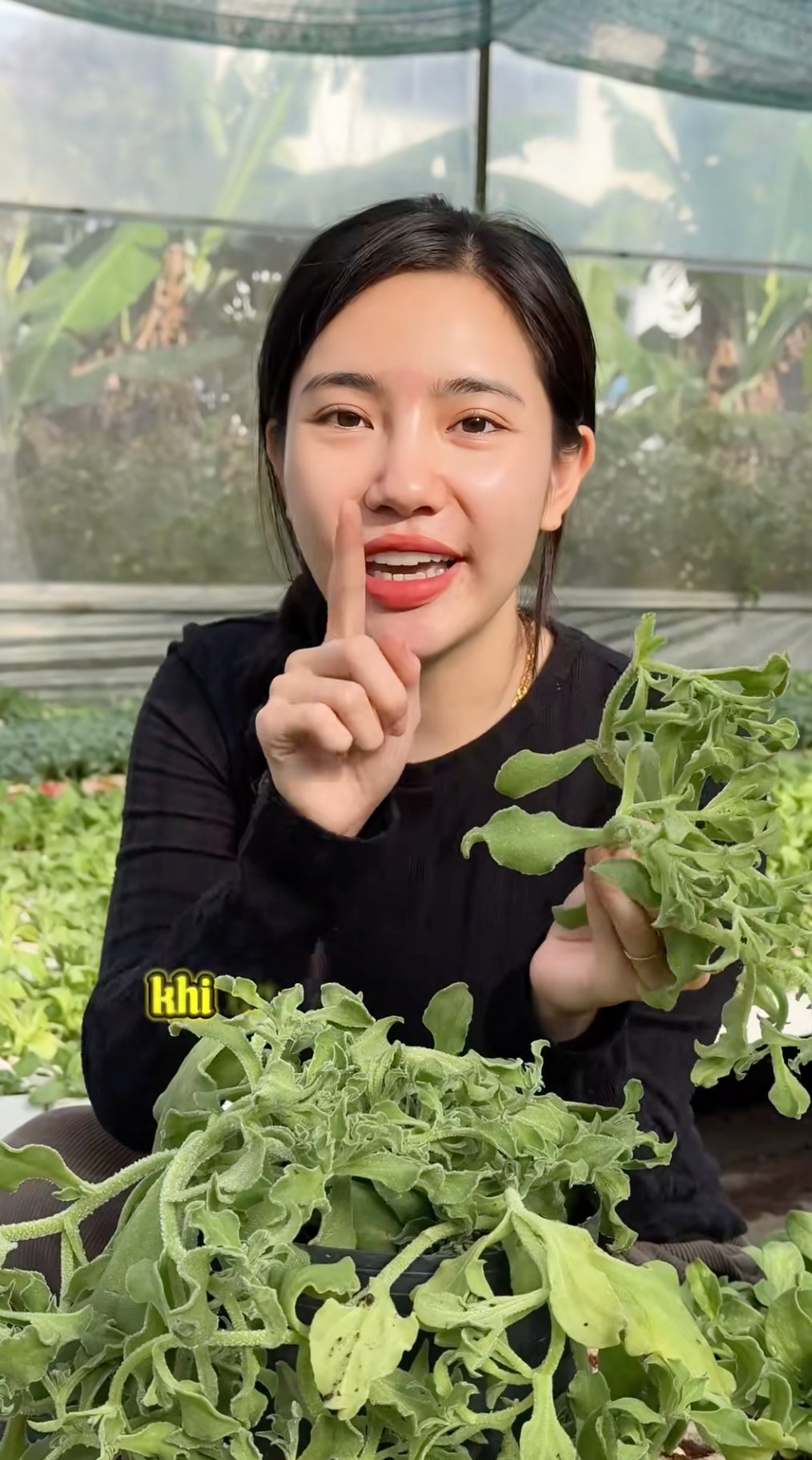 Sự thật về rau xà lách giá 300k/kg, vị mặn như muối đang được săn lùng nhất Việt Nam- Ảnh 2.