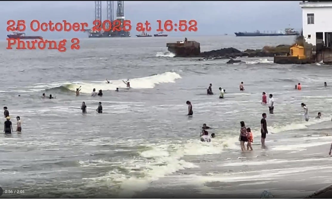 Sự thật việc nước biển Vũng Tàu chuyển màu xanh lạ - Ảnh 1.