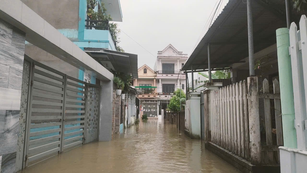 - Ảnh 3.