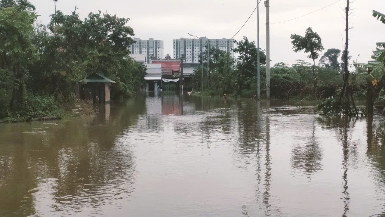 - Ảnh 5.