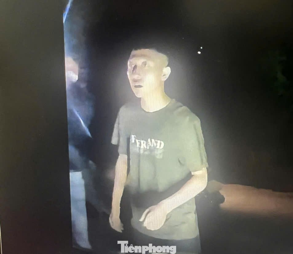 tp-a2.jpg