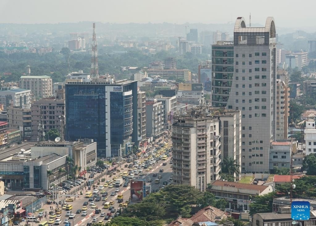 Tổng thống và Thủ tướng Congo bàn chuyện hợp tác với Vingroup - Ảnh 2.