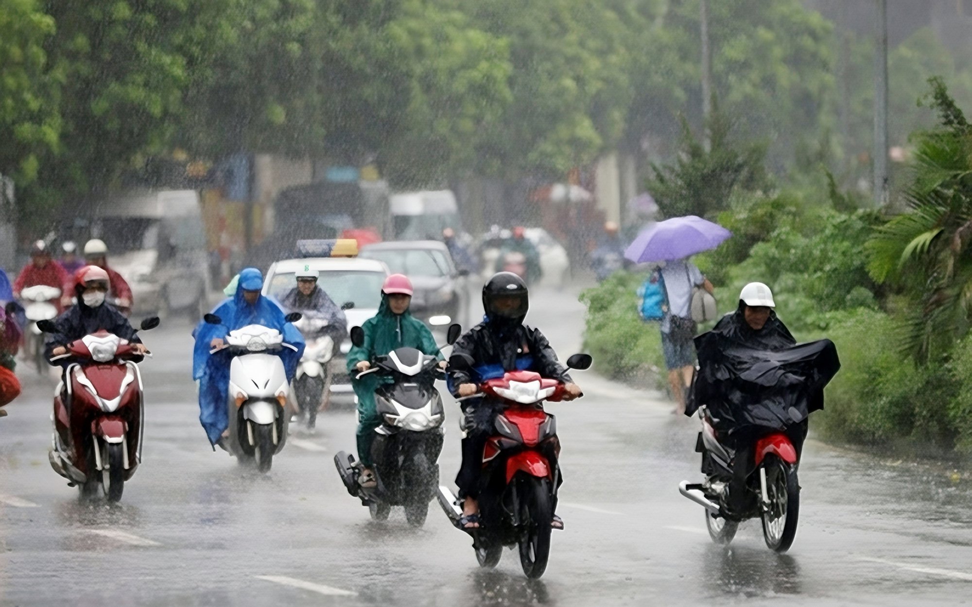 Tin gió mùa đông bắc mới nhất: Ngày mai, nhiều nơi tiếp tục mưa to đến rất to- Ảnh 1.