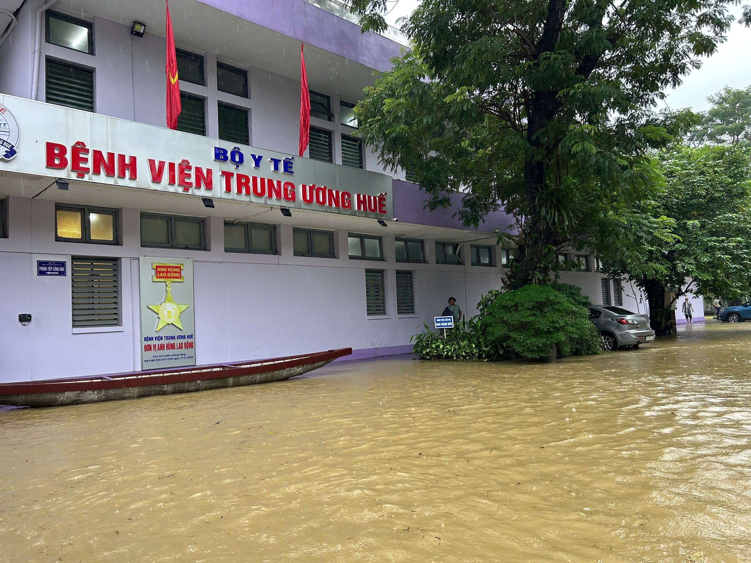 - Ảnh 1.