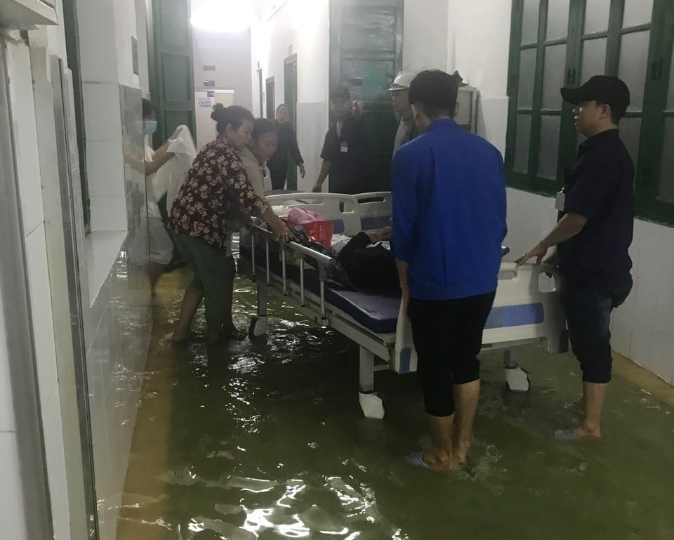 - Ảnh 12.