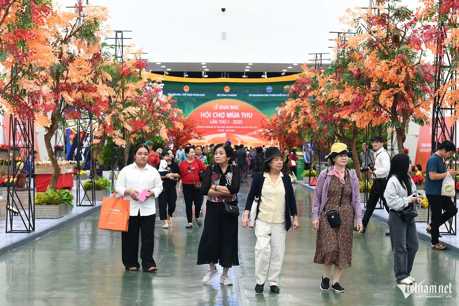 W-hoi cho (1).jpg