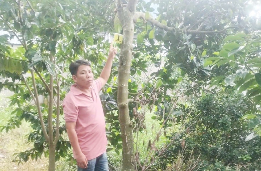 Đồng Tháp.jpg