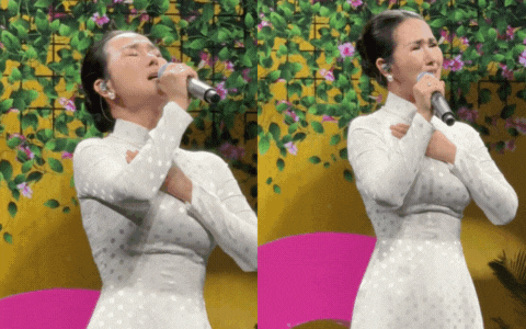 Giọng ca Nhạc viện đắt show nhất hiện tại hát chênh phô lạc giọng mà không ai chê- Ảnh 1.