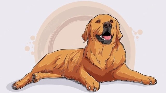 tu-vi-tuoi-tuat-2024-2