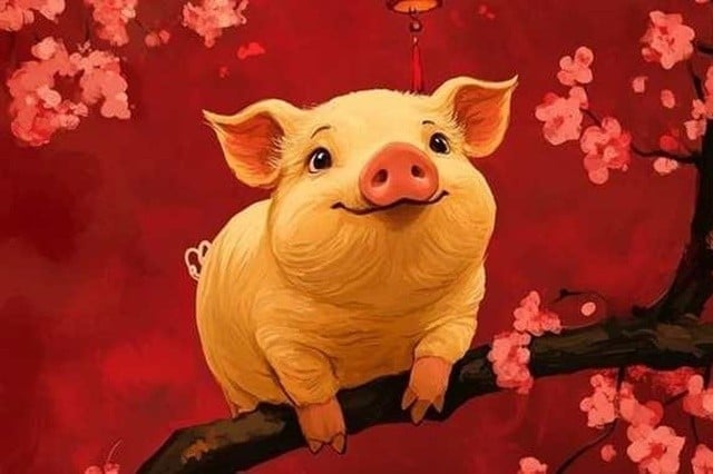 tu-vi-tuoi-hoi-nam-2025-cong-viec-gap-nhieu-kho-khan-59636