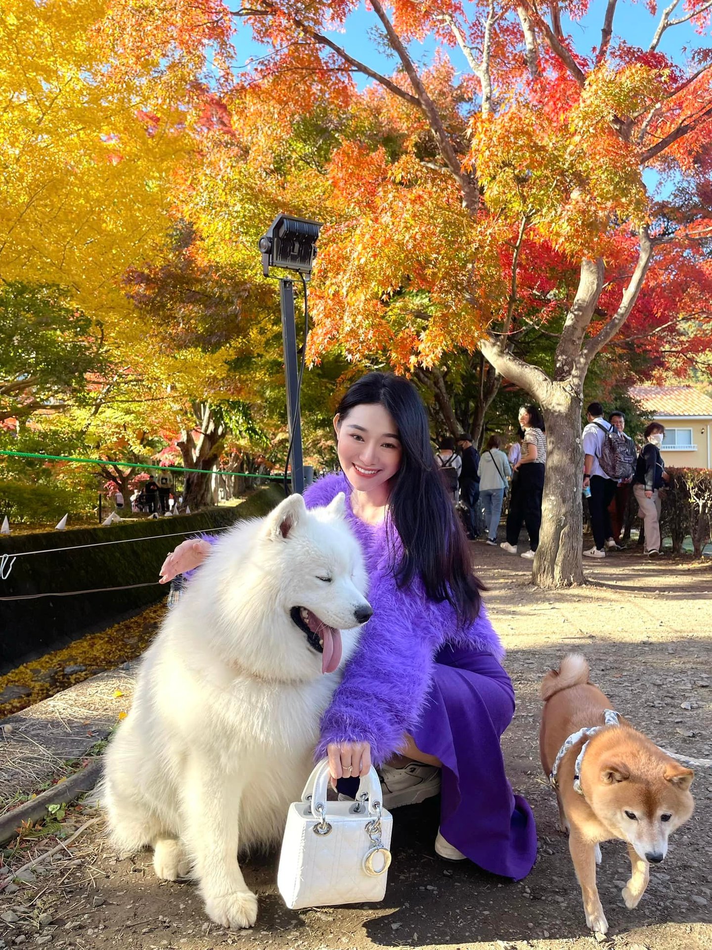 Thí sinh Olympia có màn lột xác đỉnh nhất lịch sử: Sau 10 năm tưởng biến thành người khác, còn thi cả Hoa hậu- Ảnh 6.