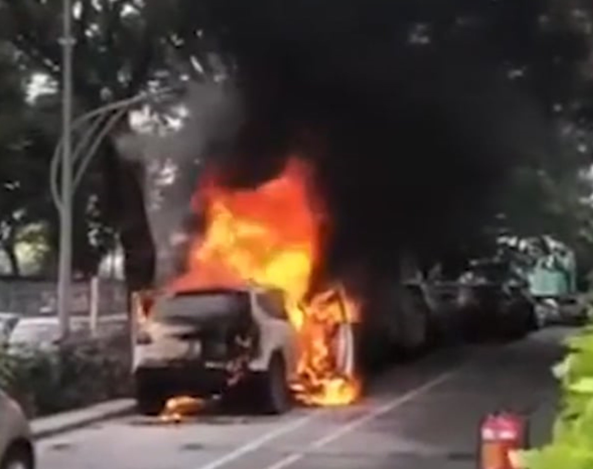 7984593c d627 42f0 954e 87cd07b7ae03.jpg