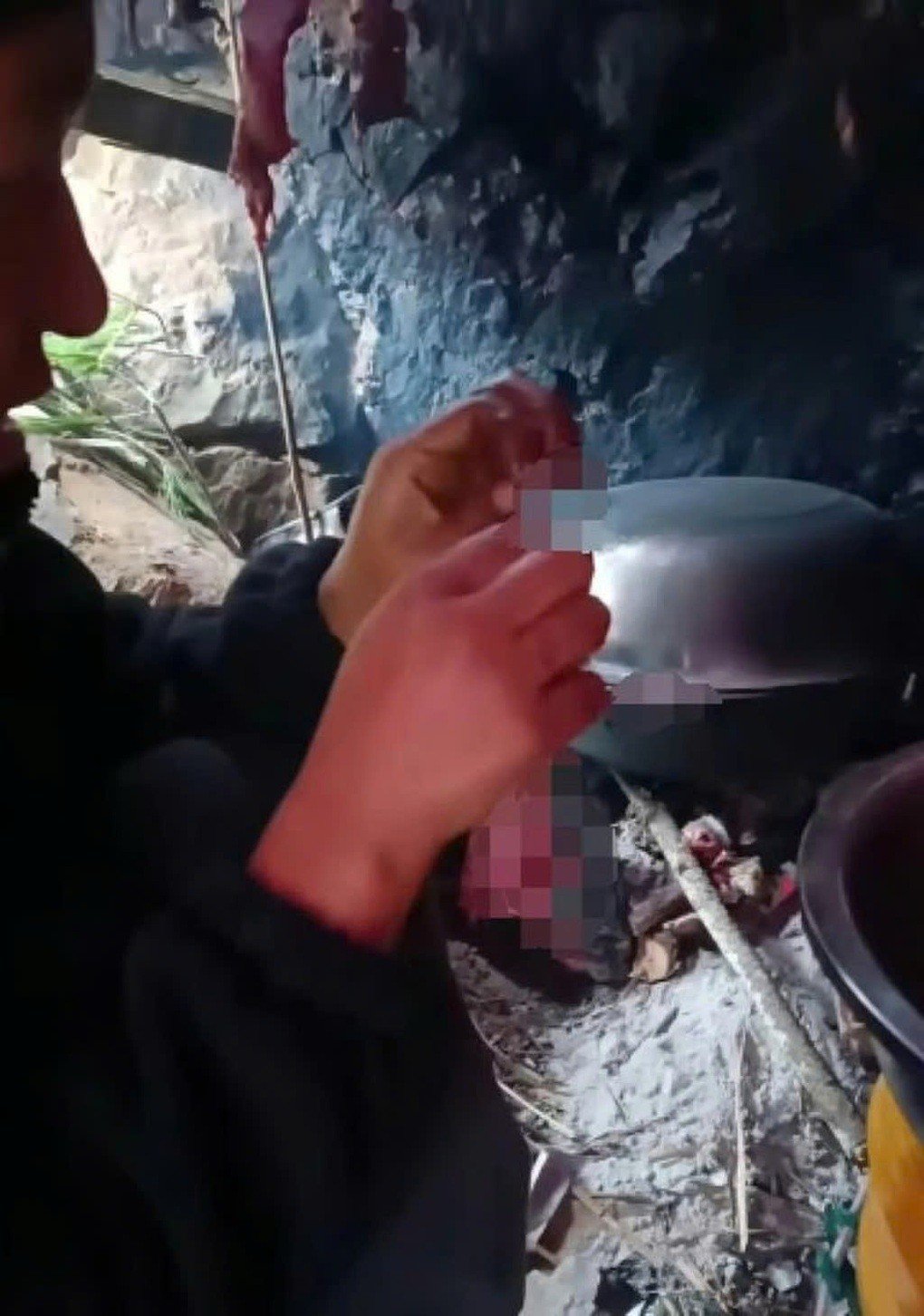 Cô gái 25 tuổi ăn 50 con chuột để sinh tồn giữa đảo hoang - 2