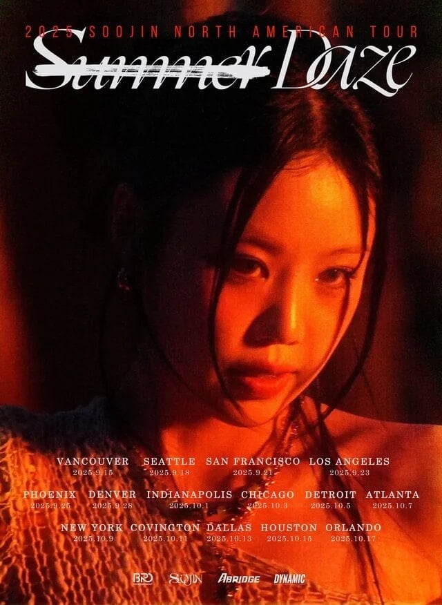 Dấu chấm hết của 1 ngôi sao: Mỹ nhân khí chất sụp đổ vì bạo lực học đường, ế vé đến mức bị huỷ 17 show- Ảnh 2.