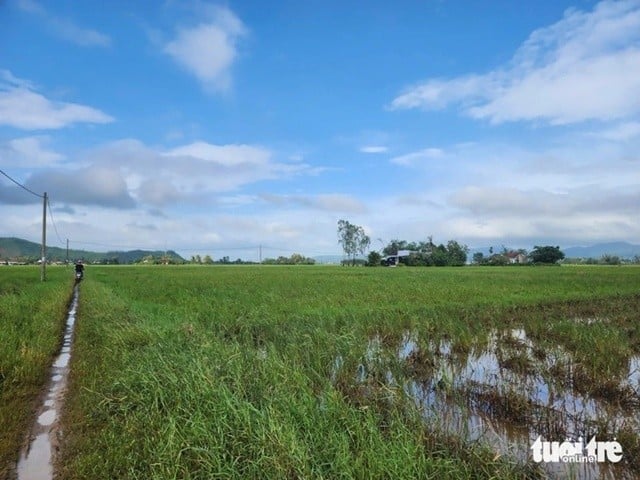 base64-1763873602852246355344_11zon