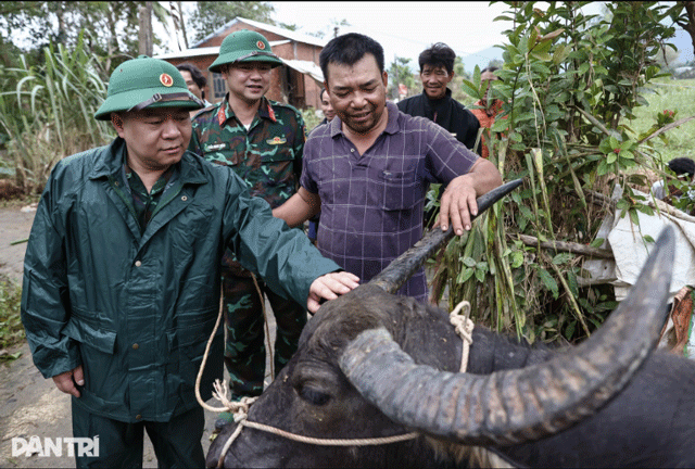Xuc-dong-canh-chu-trau-mac-ket-gan-1-tuan-tren-mai-nha-biet-trau-con-song-toi-mung-roi-nuoc-mat-4