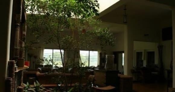 5 dấu hiệu nhận biết ngôi nhà tích tụ âm khí- Ảnh 2.