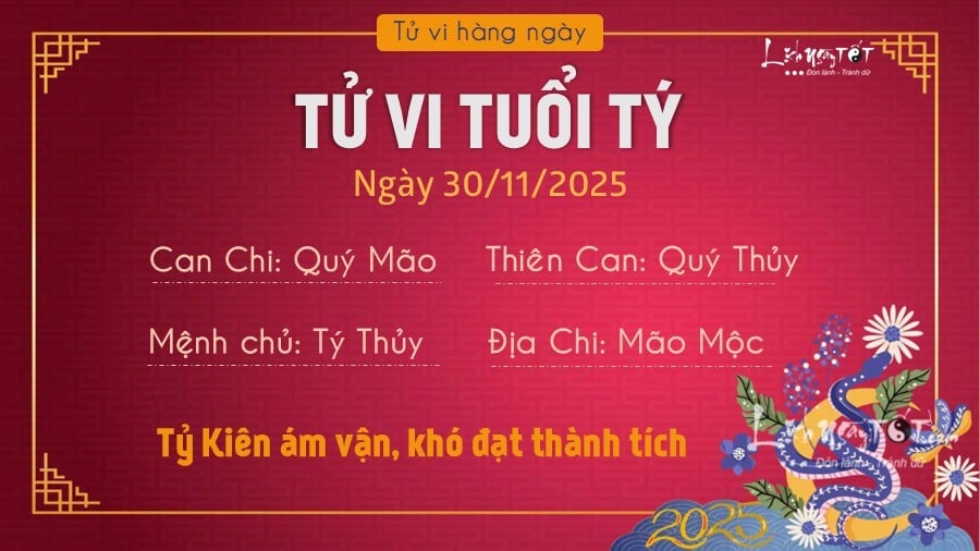 Tu vi hang ngay 30/11/2025 cua Ty