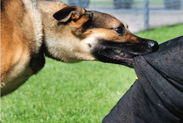 Vu-be-trai-6-tuoi-o-gia-lai-tu-vong-khi-giau-viec-bi-cho-can-gia-dinh-soc-nang-khi-mat-con-mai-mai