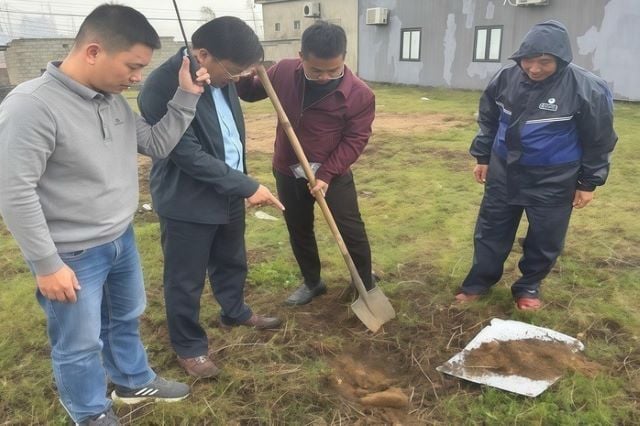 hien-tuong-giun-bo-kin-san-vuon-chet-bat-thuong-o-quang-tri-lay-mau-dat-nuoc-lam-ro-nguyen-nhan-rs