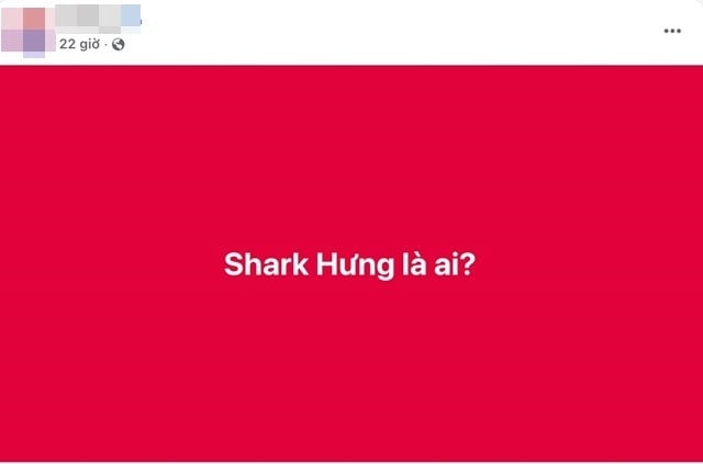shark-hung-3