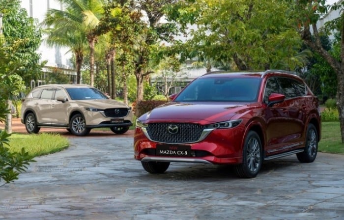 ‘Hạ knock-out’ Ford Everest, Mazda CX-8 cập nhật giá lăn bánh cực rẻ ở thời điểm giữa tháng 12/2025 ảnh 2