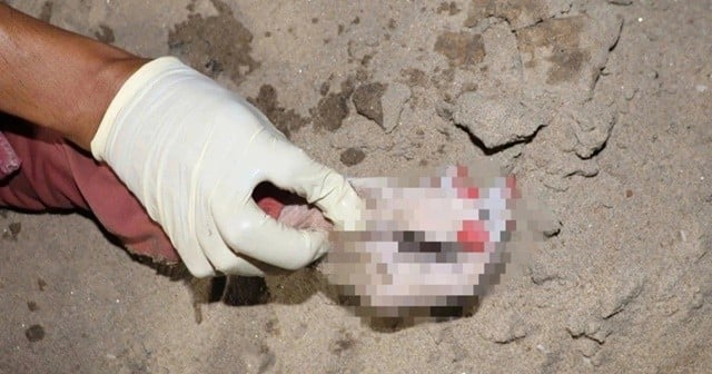 6-cropped-cropped-1766370339669_11zon