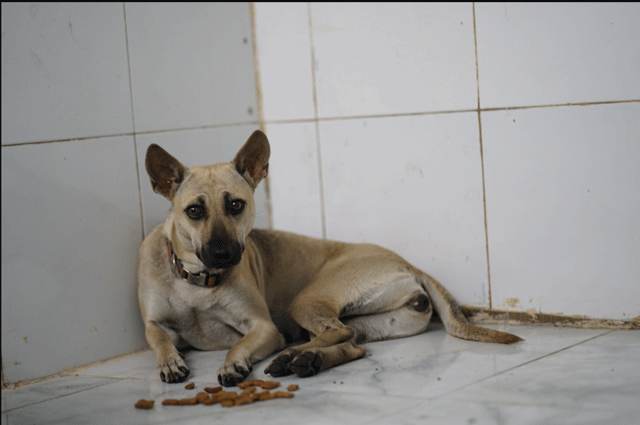 Xot-xa-ve-hoan-canh-nguoi-dan-ong-dat-chu-cho-di-bo-xin-viec-o-tphcm-vo-bo-di-khi-con-moi-4-tuoi-7