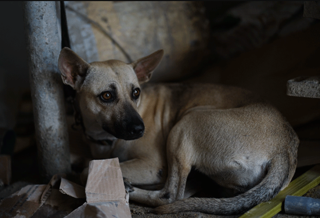 Xot-xa-ve-hoan-canh-nguoi-dan-ong-dat-chu-cho-di-bo-xin-viec-o-tphcm-vo-bo-di-khi-con-moi-4-tuoi-8