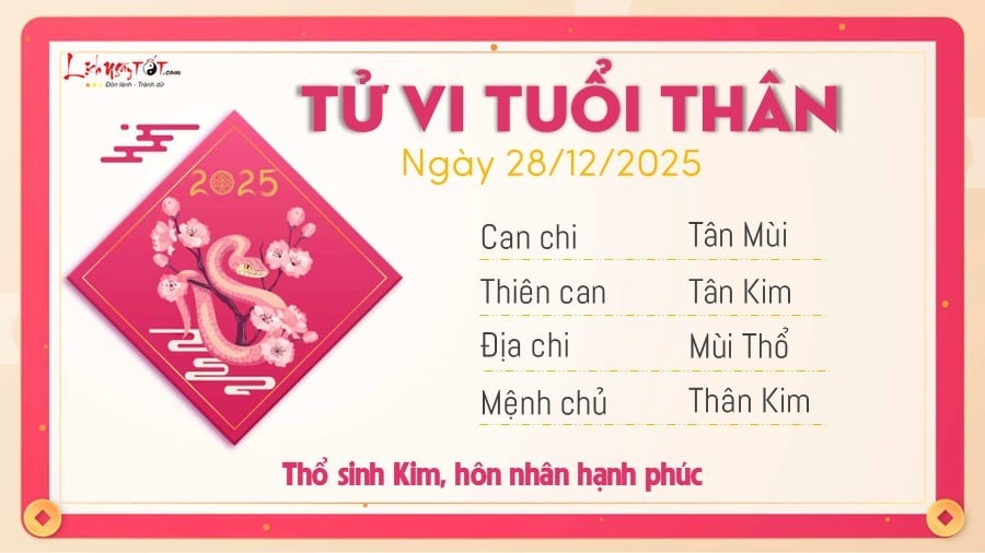 Tu vi hang ngay 28/12/2025 - Than