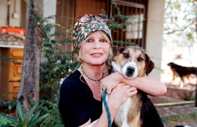 Sang tuổi trung niên đến cuối đời, bà Brigitte Bardot dành tâm huyết cho động vật. Ảnh: Prestige