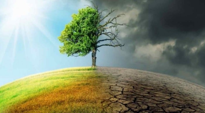 nhung-tien-doan-cua-ba-vanga-ve-nam-2026-khien-nhieu-nguoi-lo-ngai-gioi-khoa-hoc-len-tieng-phan-bac-6